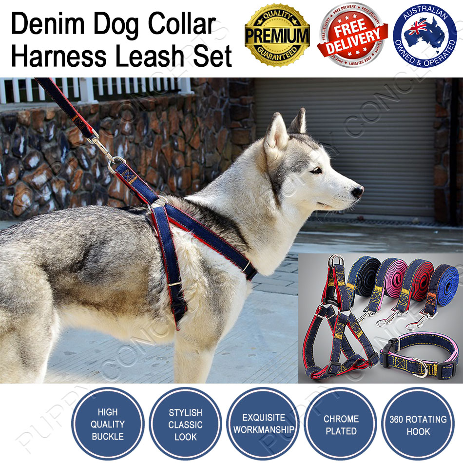 dog leash collar and harness set
